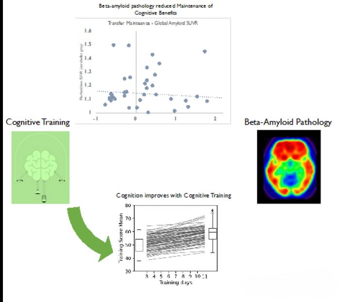 Cognitive Training Less Effective in Healthy Older Adults with Beta-Amyloid Deposits