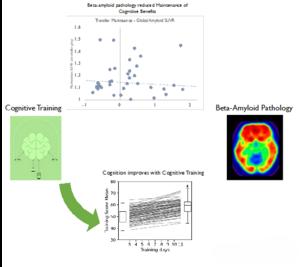 Cognitive Training Less Effective in Healthy Older Adults with Beta-Amyloid Deposits