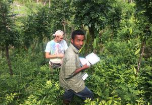 Two researchers in lush green forest