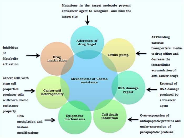 Mechanisms involved in chemoresistance.