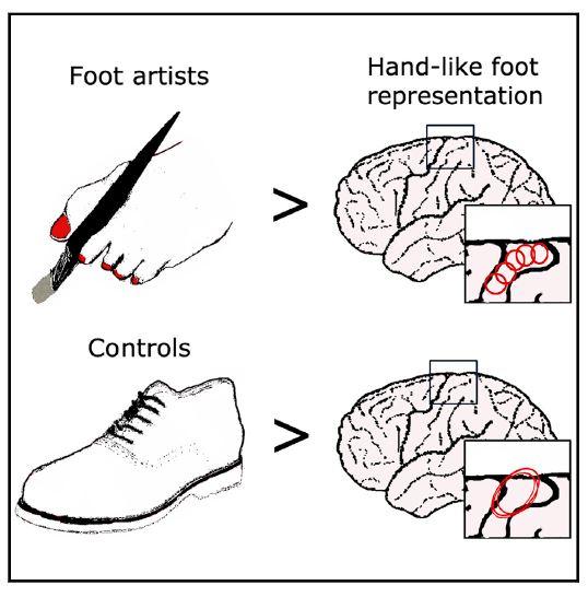 Toe Maps Graphical Abstract