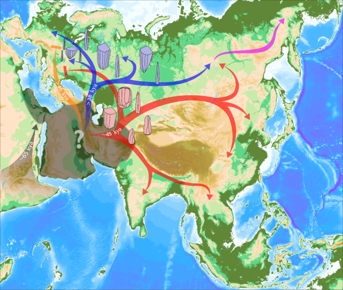 Peopling of Eurasia through repeated waves of expansion