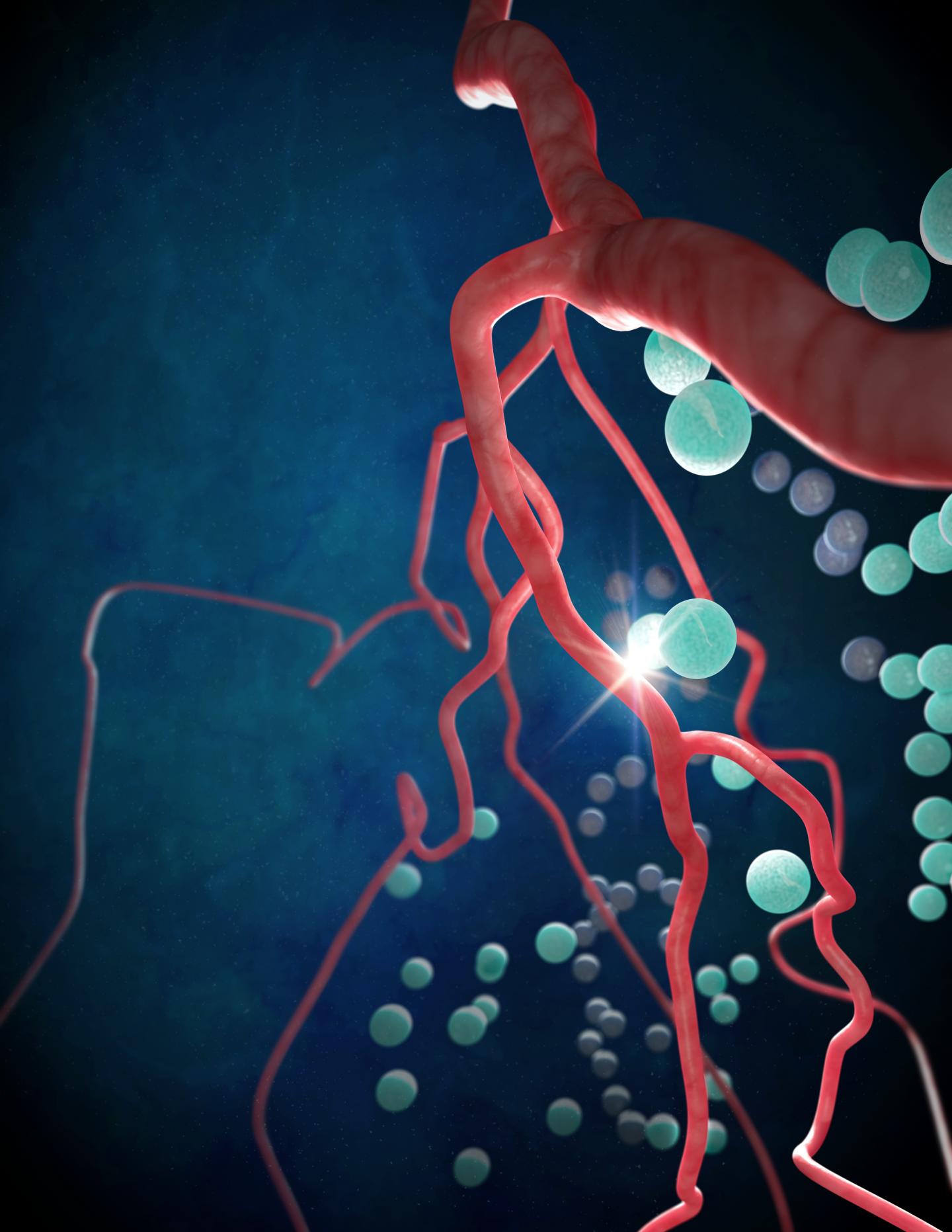 Communication between Neurons and Blood Vessels in the Brain