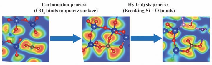 Distribution of Electron Localization Function during Carbonation and Hydrolysis Reactions