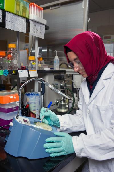 Counting Yeast Colonies