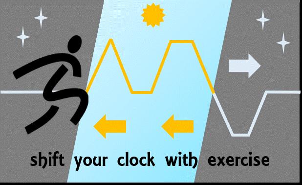 Shift Your Body Clock with Exercise