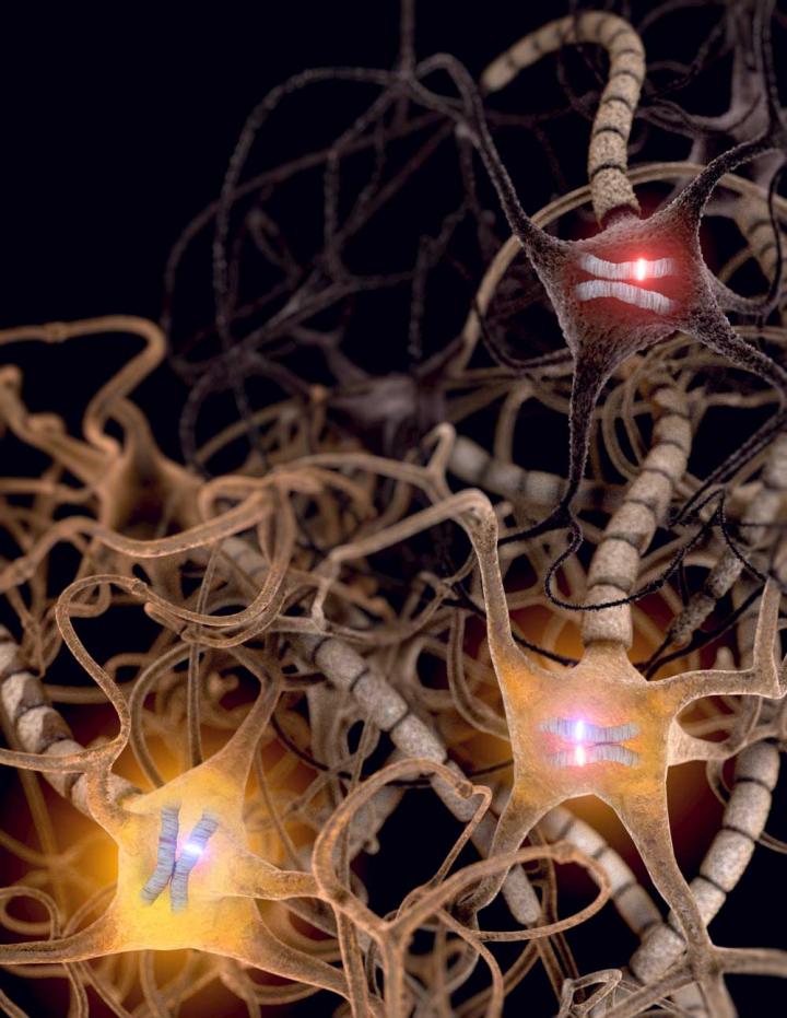 Non-Genetic Allelic Effects