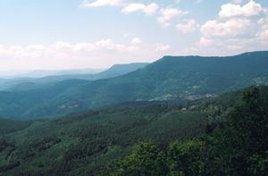 Boreal and temperate forests now main global - Vimarsana News
