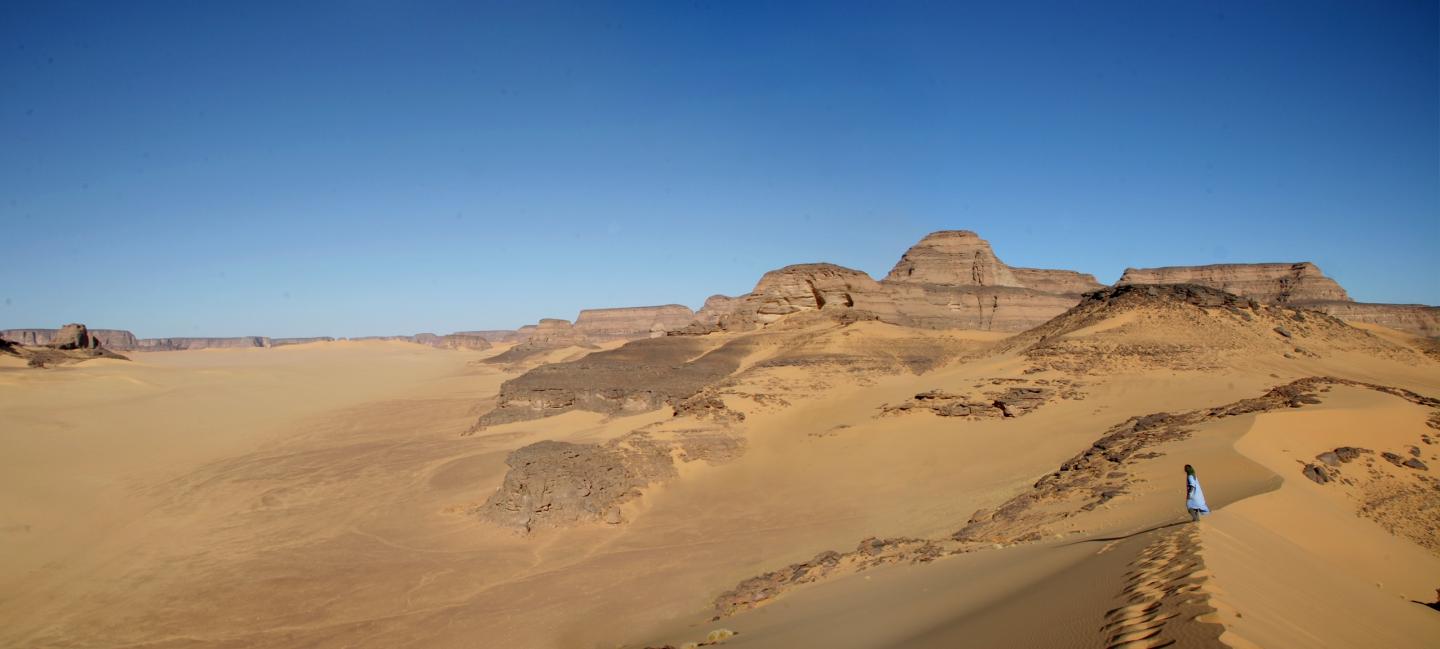 Fish in the Sahara? Yes, in the Early Holocene