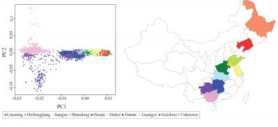 Genetic Variants Linked to Type 2 Diabetes Identified in Chinese Populations