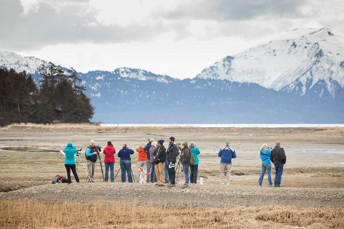 Birdwatchers