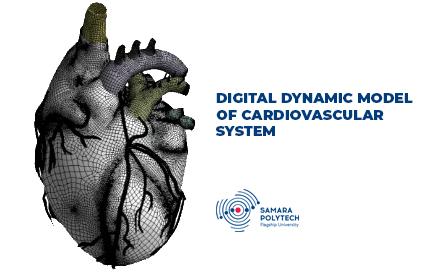 Digital Dynamic Model of Cardiovascular System