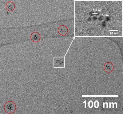 Cryogenic TEM Micrograph of Gold Nanoparticles