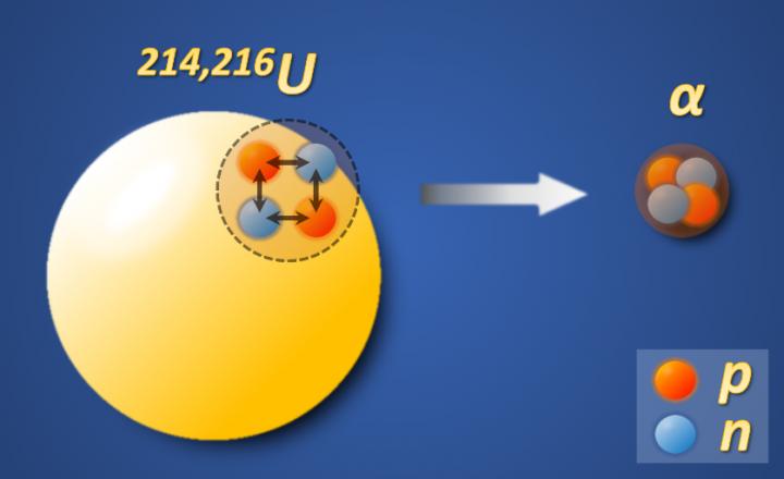 The illustration of the enhanced &alpha;-particle preformation