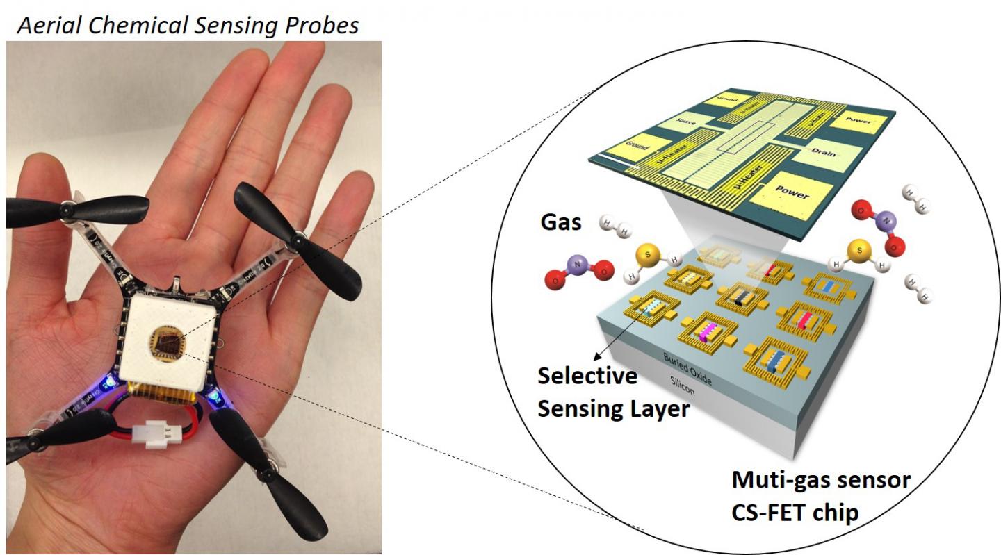 Miniature Sensors Identify Multiple Unsafe Gasses (2 of 6)