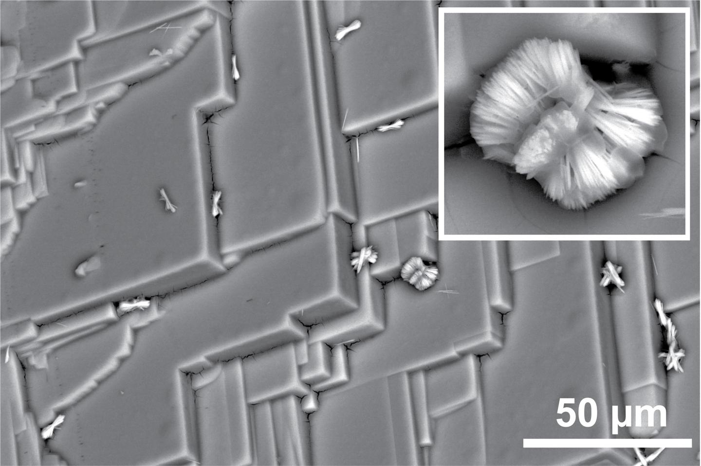 Electron microscopy image of the strongly restructured crystal surface after treatment by benzylamin