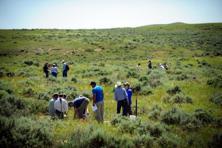 Grasslands and Carbon Storage