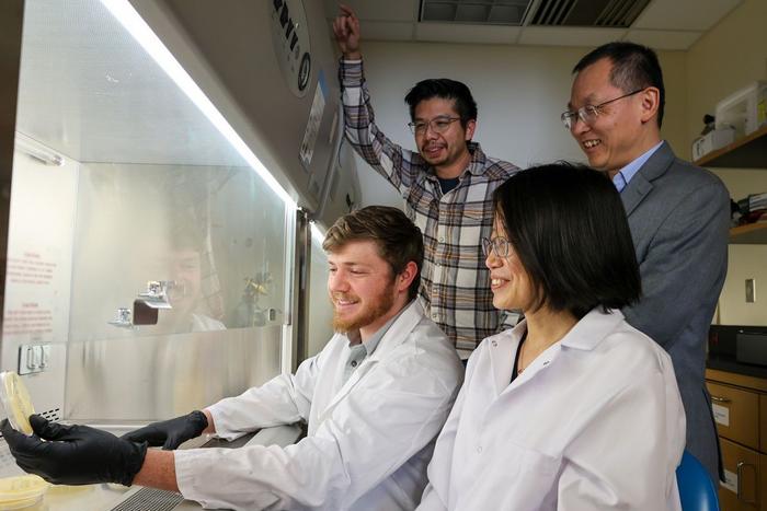 From top left: Biologist Bryan Hsu with immunologist Liwu Li. Bottom left: Zachary Baker, a doctoral student in the Hsu Lab, and research assistant professor Yao Zhang from the Li Lab.