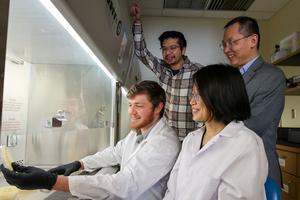 From top left: Biologist Bryan Hsu with immunologist Liwu Li. Bottom left: Zachary Baker, a doctoral student in the Hsu Lab, and research assistant professor Yao Zhang from the Li Lab.