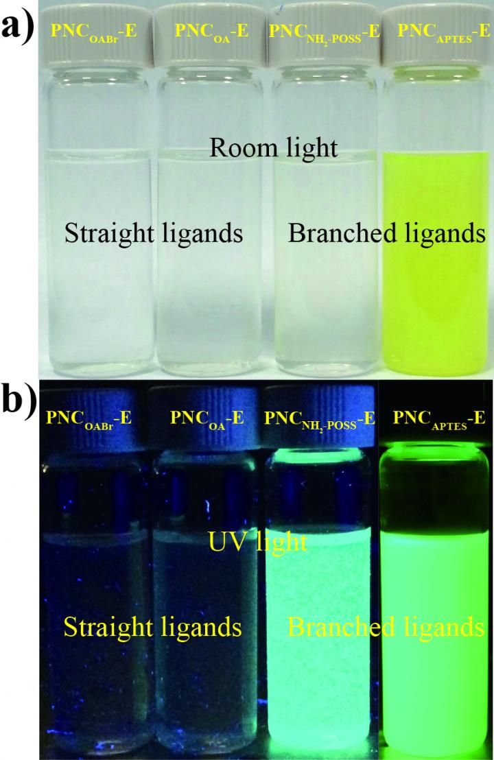 Perovskite Nanocrystals