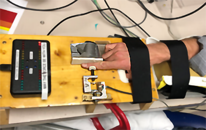 Study exercise-first dorsal interosseous