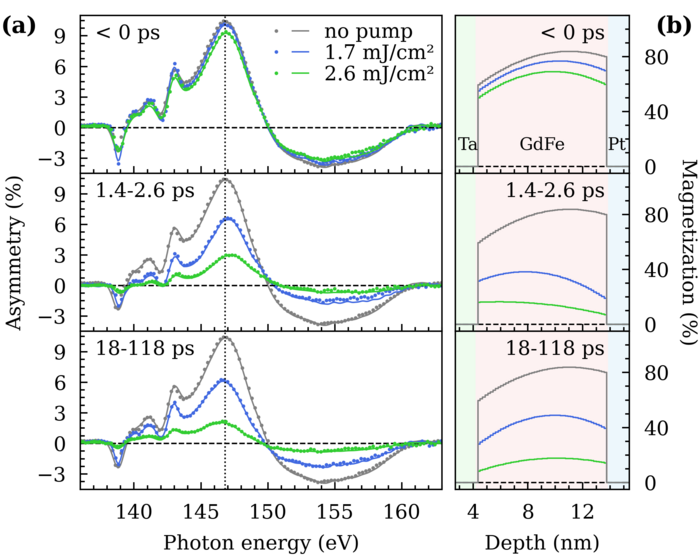 Formation of transient magnetization depth profiles