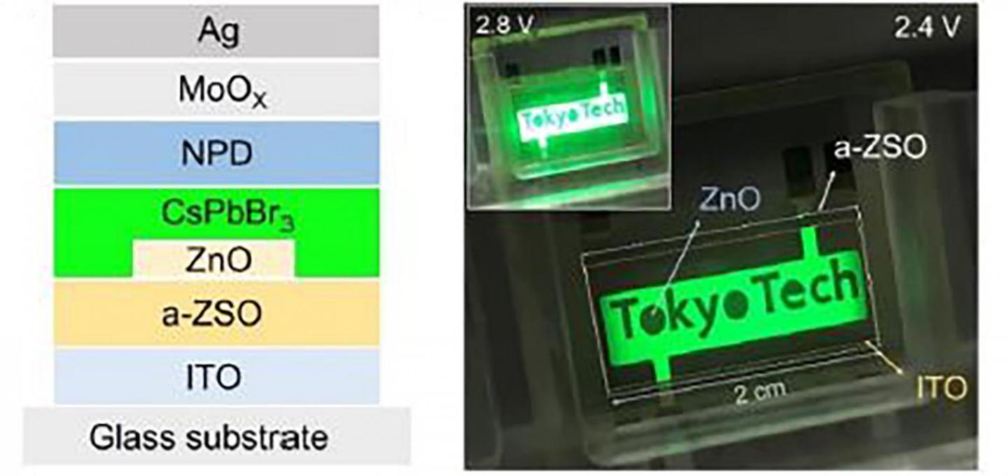 Structure of a Large Perovskite LED