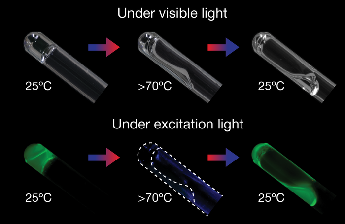 Liquefaction and gelling of the star-polymer DNA gel