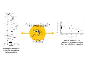 Literature survey and meta analysis of blood-feeding patterns in Aedes albopictus