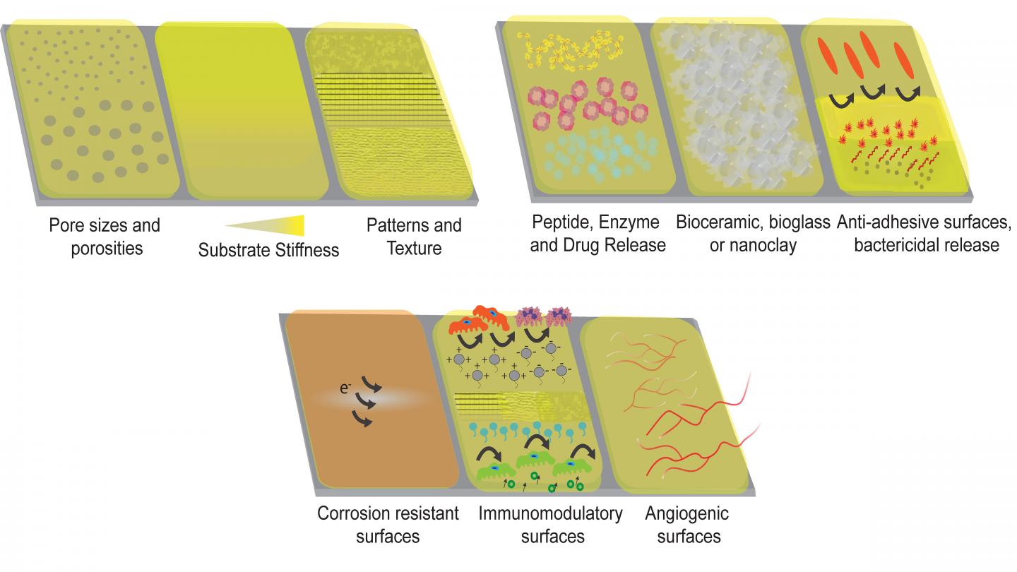 Natural polymer coatings on a metallic implant surface