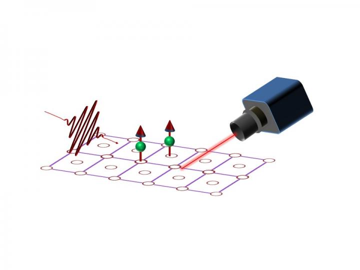 Schematic of the Proposed Experimental Setup