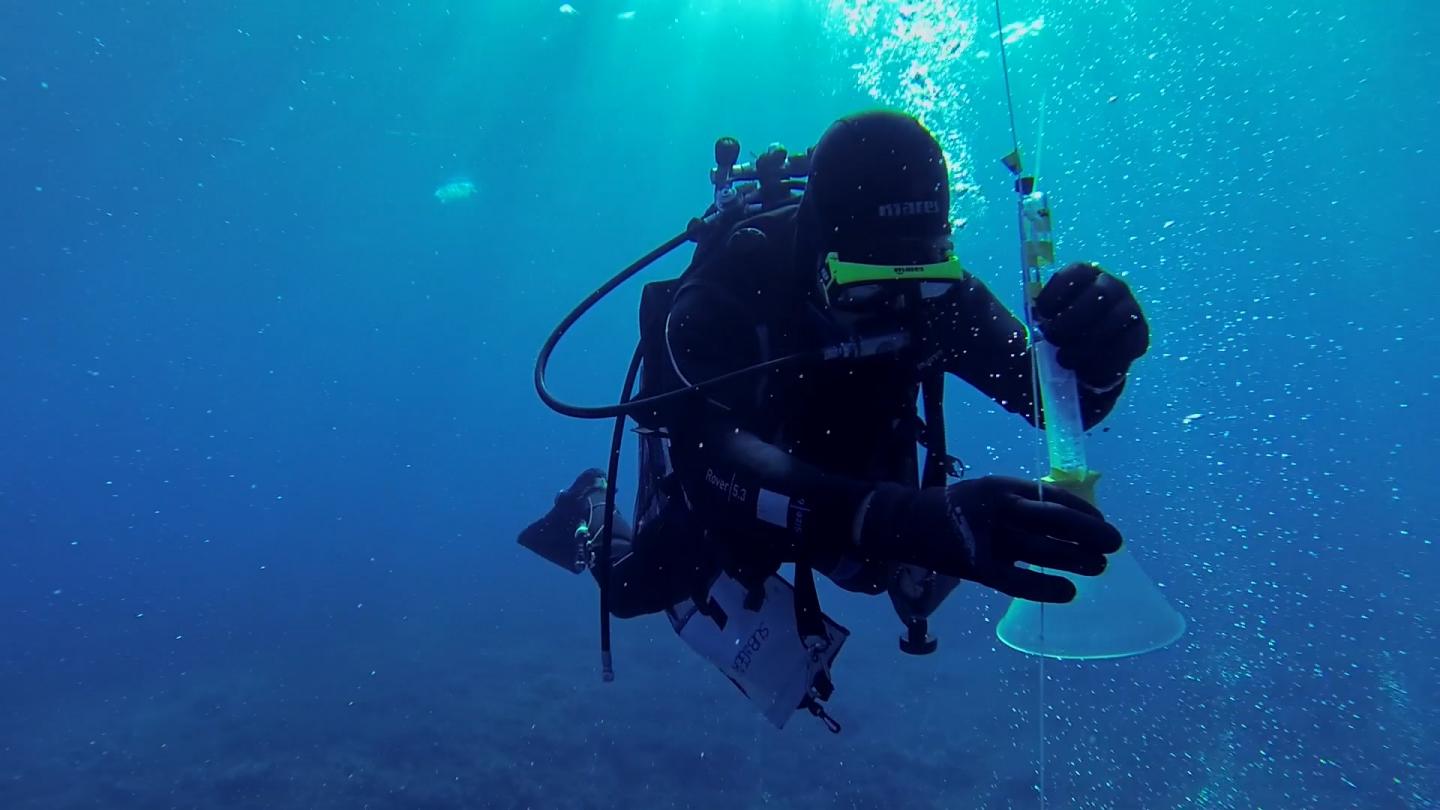 Monitoring CO<sub>2</sub> Leakage Sites on the Ocean Floor