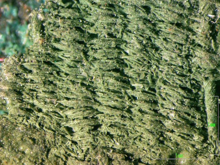 Weft-Faced Tabby Example from Corfu, Greece, 6th century BC