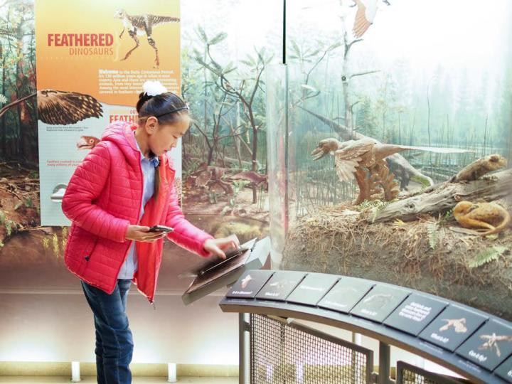 Moveable Dinosaur Museum