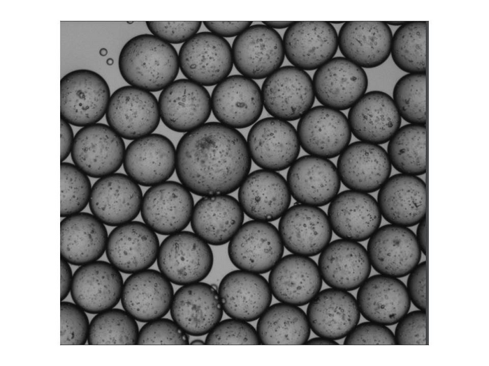 Scientists have developed improved methods for generating micro-organospheres (MOS) and have shown that they can be used as patient avatars for studies involving direct viral infection, immune cell penetration and high-throughput therapeutic drug screening - something that is not obtainable with conventional patient-derived models.