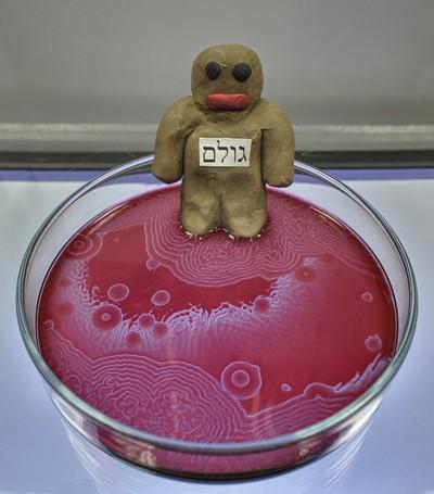 Spatio-Temporal Structures