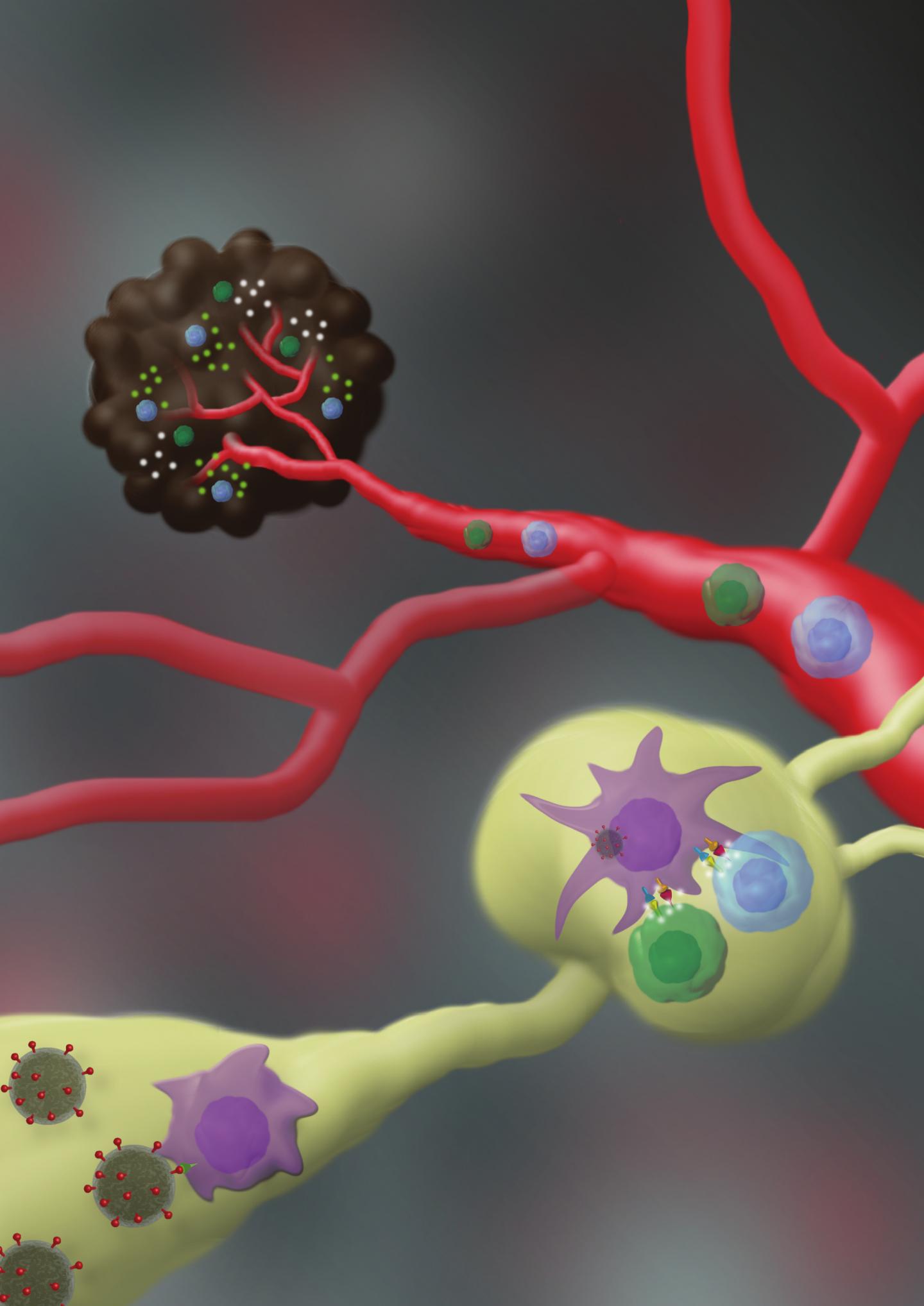 Nano-Vaccine Mechanism of Action