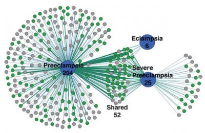 Preeclampsia Bioinformatics