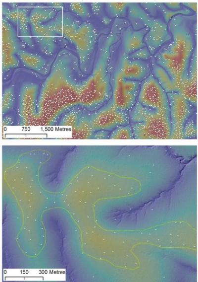 Distribution of Termite Mounds Relative to Seeplines