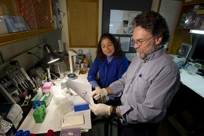 Mark Hahn and Diana Franks, Woods Hole Oceanographic Institution