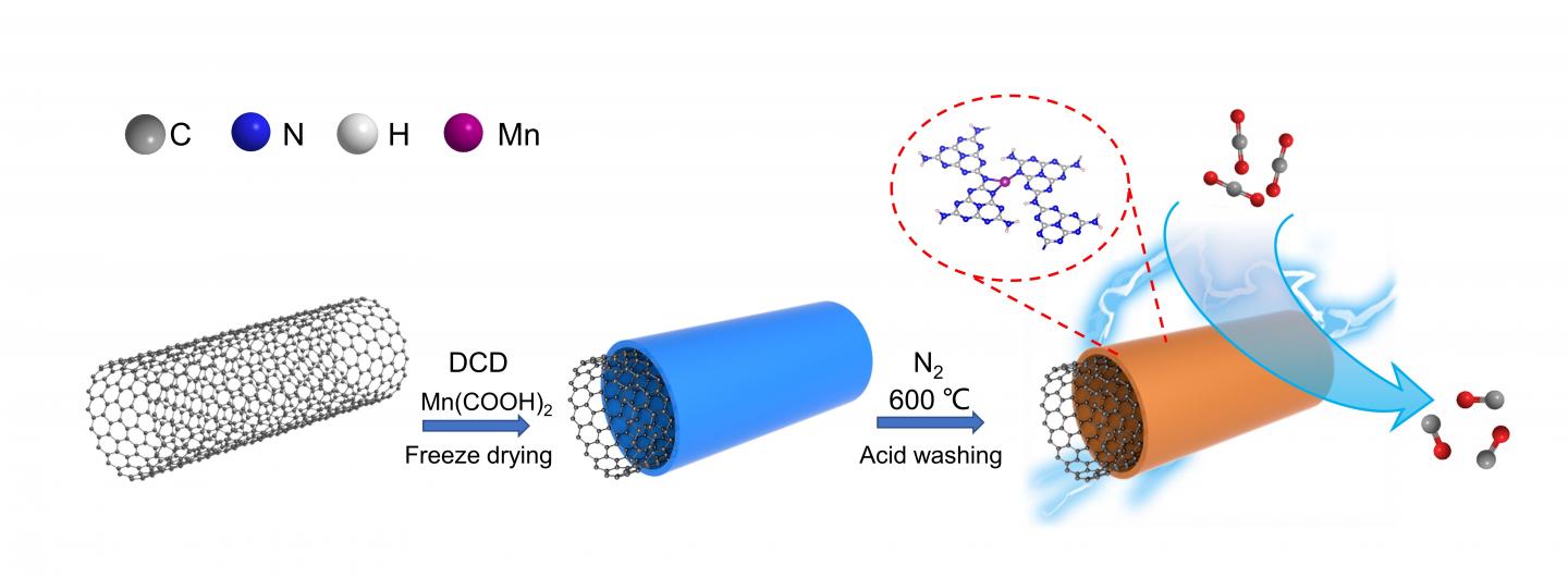 Schematic Diagram [image] Eurekalert Science News Releases