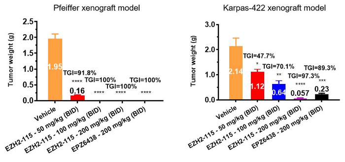 A Novel EZH2 Inhibitor Discovered for B-Cell Lymphomas