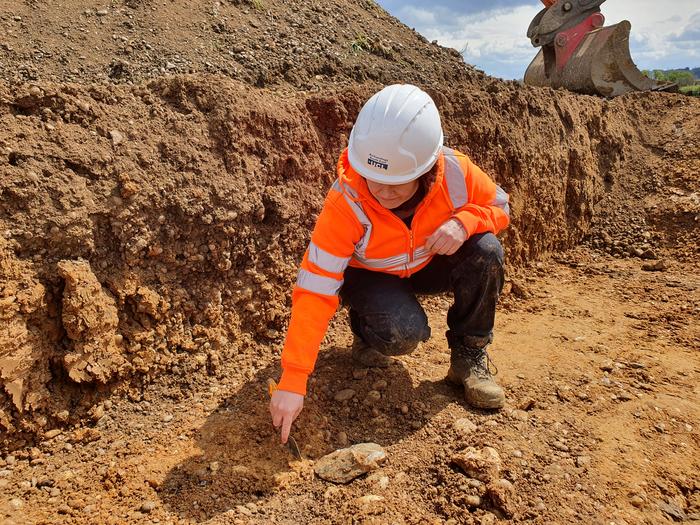 One of the handaxes at the point of discovery on site.