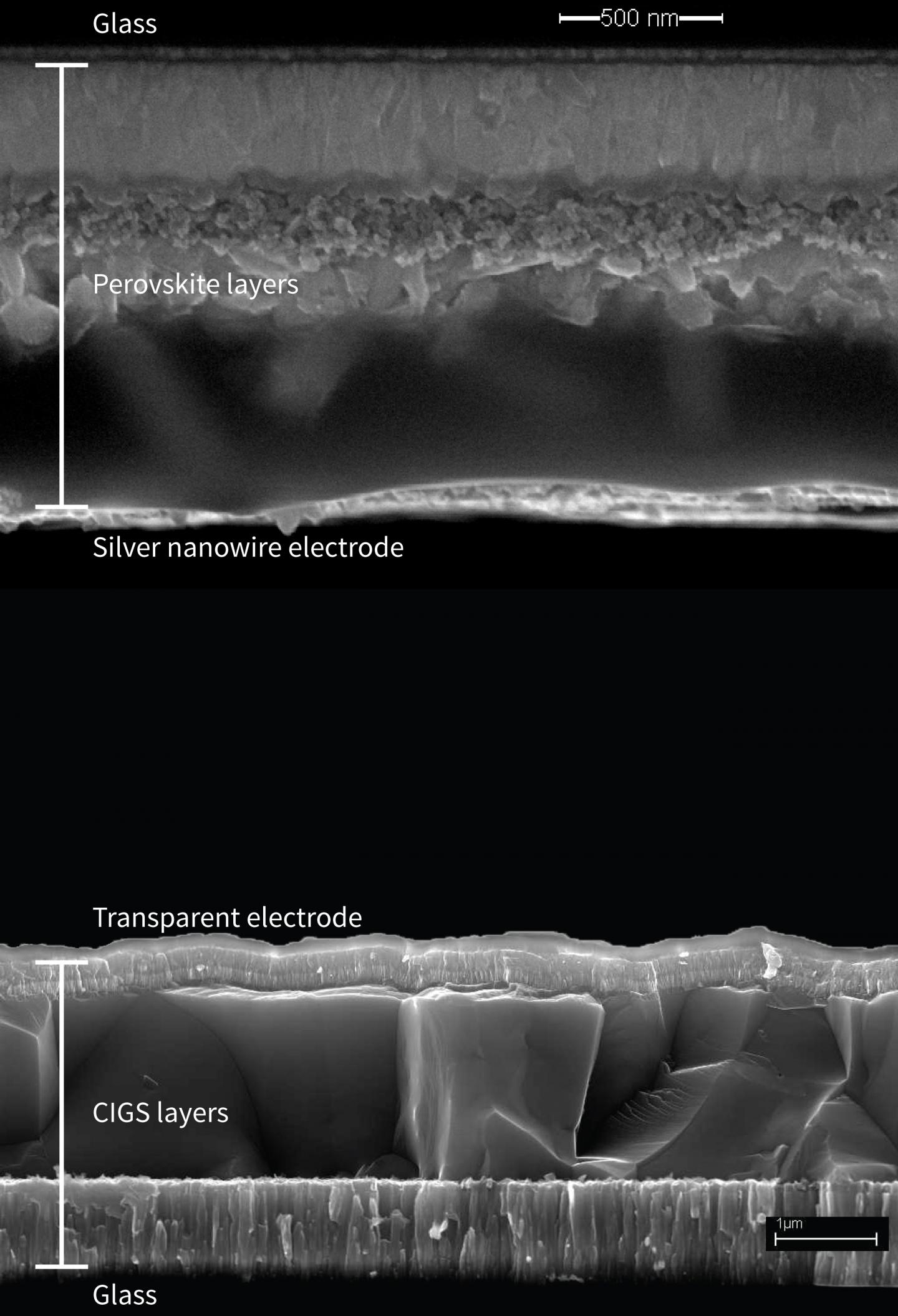 Perovskite-CIGS Tandem Solar Cell