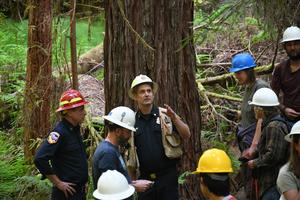 Tour participants in Jackson Demonstration State Forest learn about research occurring there