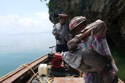 Ao Phang Nga, Thailand