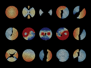 Spiking Neural Networks