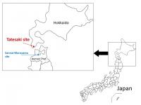 Archaeological Sites in Hokkaido and Aomori Prefectures