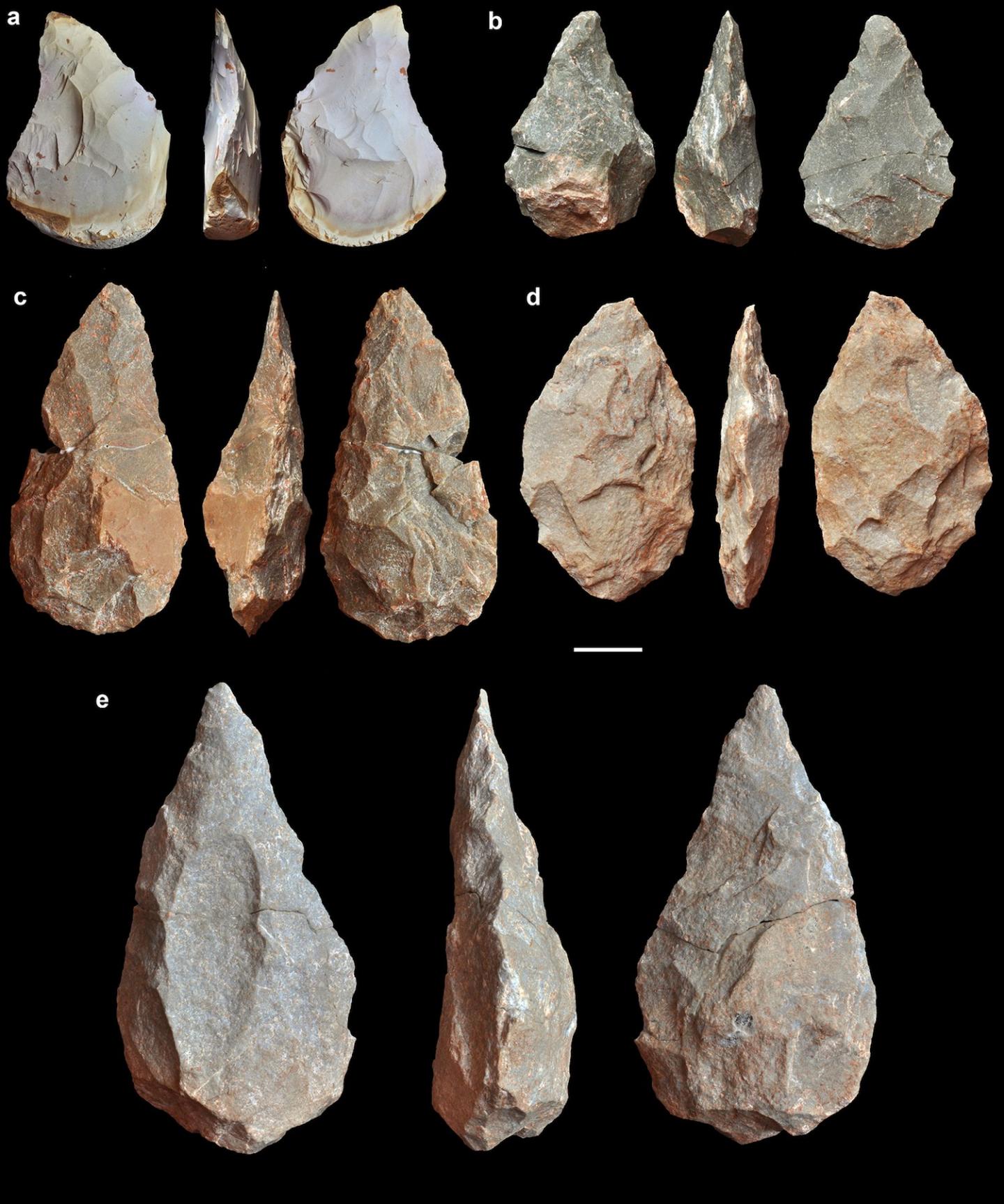 Figure 3 Acheulean Handaxes [IMAGE] EurekAlert! Science News Releases