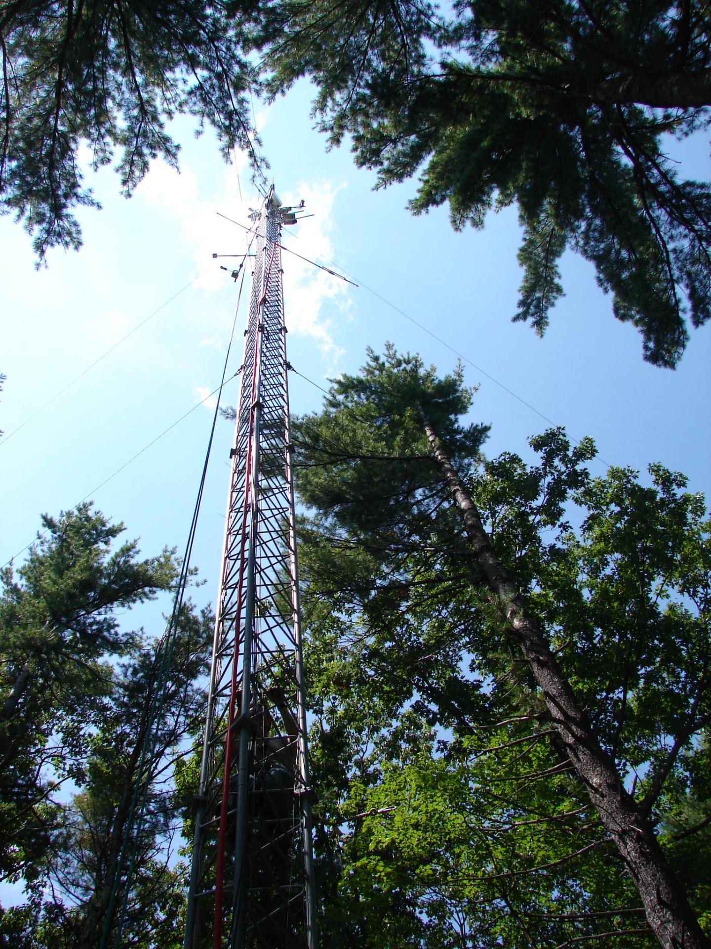Sensors and Cameras on a Tower in Harvard Forest